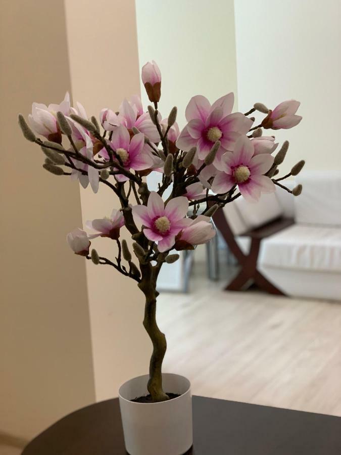 Apartament "Marka" ปีวา ภายนอก รูปภาพ